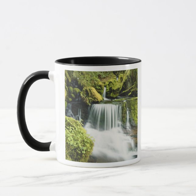 Oregon, Wasserfall in Willamette national Tasse (Links)