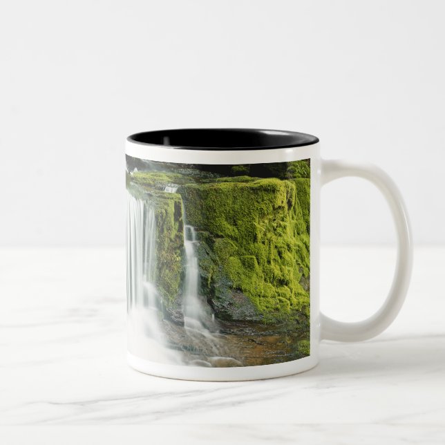Oregon, Wasserfall in Willamette national Zweifarbige Tasse (Rechts)