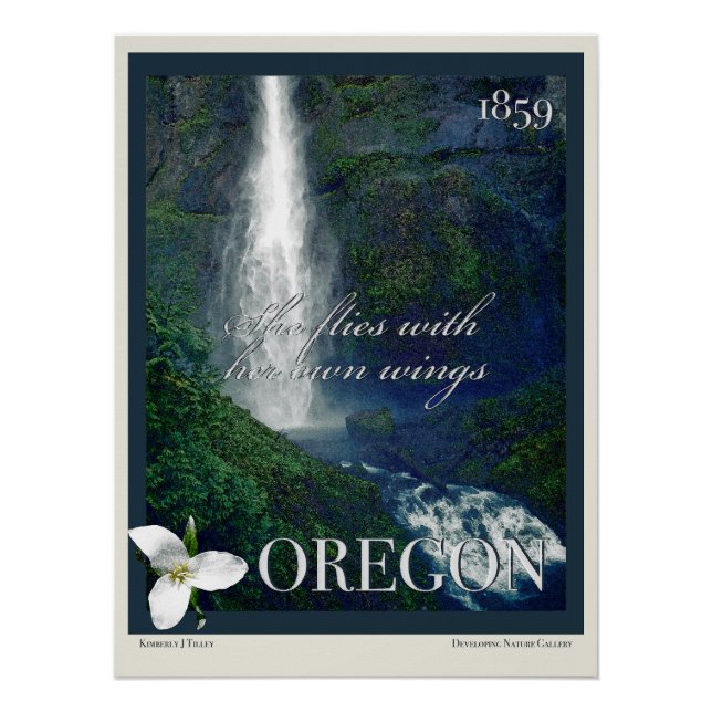 Oregon Waterfall Poster (Vorderseite)