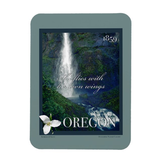 Oregon Waterfall Poster Magnet (Vertikal)