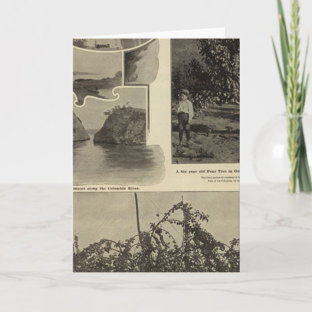 Oregon, wo jede Aussicht gefällt Karte (Vorderseite)