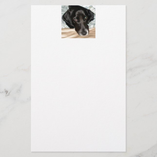 Oreo der englischer Springerspaniel-Hund Briefpapier (Vorderseite)