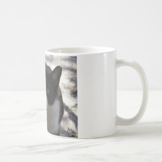 Oreo Katze Tasse
