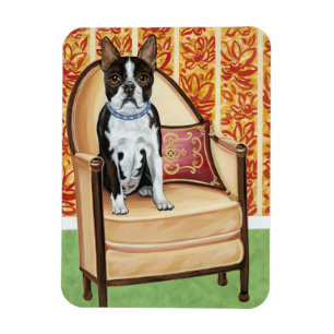 Oreo Plätzchen Boston Magnet