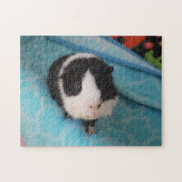 Oreo Puzzle 
