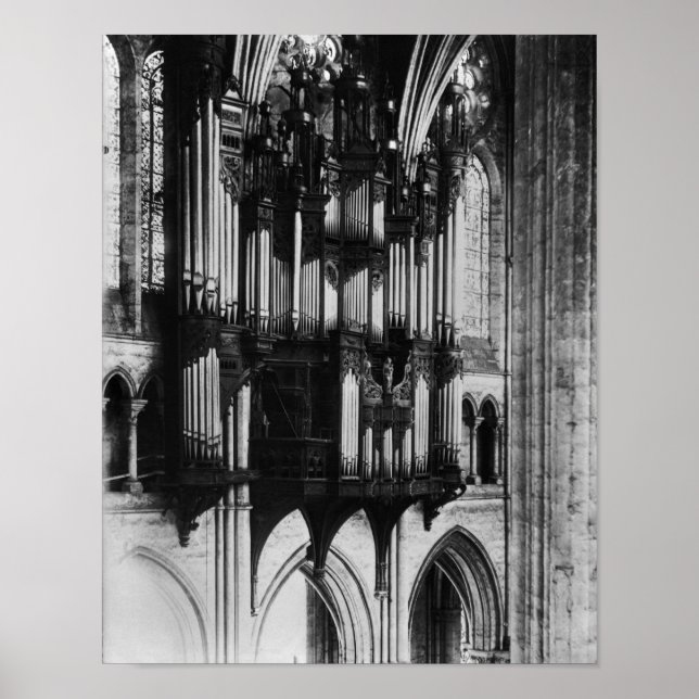 Organ Poster (Vorne)