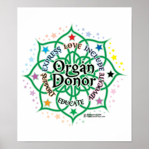 Organ-Spender Lotus Poster