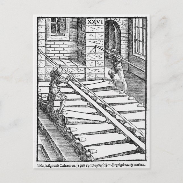 Organbläschen Postkarte (Vorderseite)