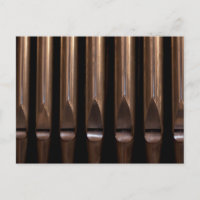 Organe