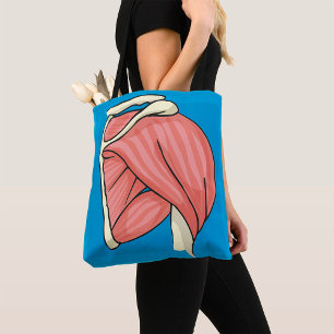 Organillustration