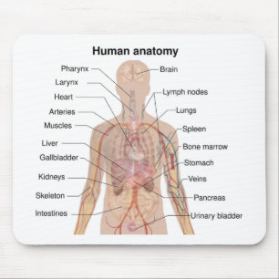 Organinterne Anatomie des menschlichen Körpers Mousepad