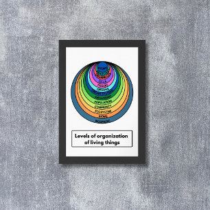 Organisationsgrad lebender Dinge Poster