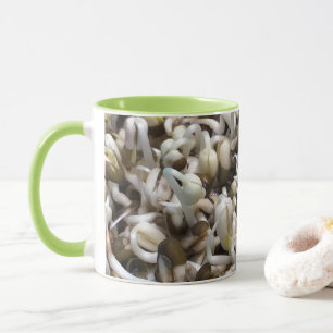 Organischer Spross Leben Mung-Bohne Makrofotografi Tasse