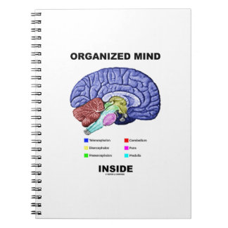 Organisierter Geist im Inneren (Anatomische Gehirn Notizblock