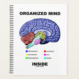 Organized Mind Inside Anatomical Brain Humor Planer