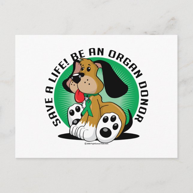 Organspenderhund Postkarte (Vorderseite)