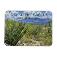 Orgelpfeife Kakteen, Ocotillo Shrub, Ajo Berge