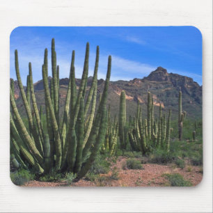 Orgelpfeifen in der Wüste Mousepad