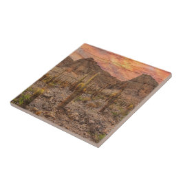 Orgelpfeifenkaktus auf Holzmaserung Sonnenuntergan Fliese