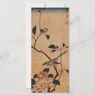 Oriental Camellia und Warbler