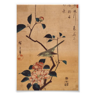 Oriental Camellia und Warbler Fotodruck