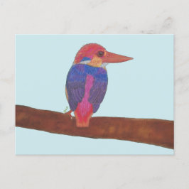 ORIENTAL DWARF KINGFISHER POSTKARTE