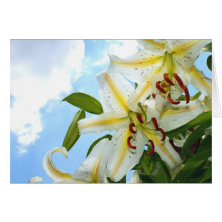 Oriental Lily Card