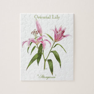 Oriental Lily - Stargazer Puzzle
