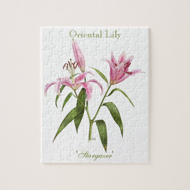 Oriental Lily - Stargazer Puzzle (Vertikal)