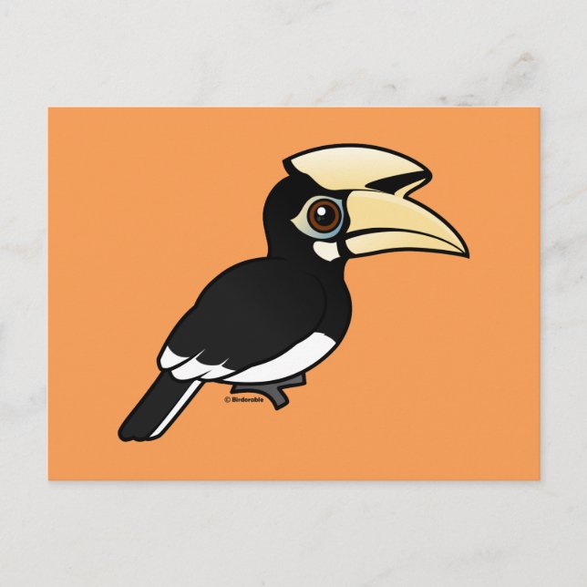 Oriental Pied Hornbill Postkarte (Vorderseite)
