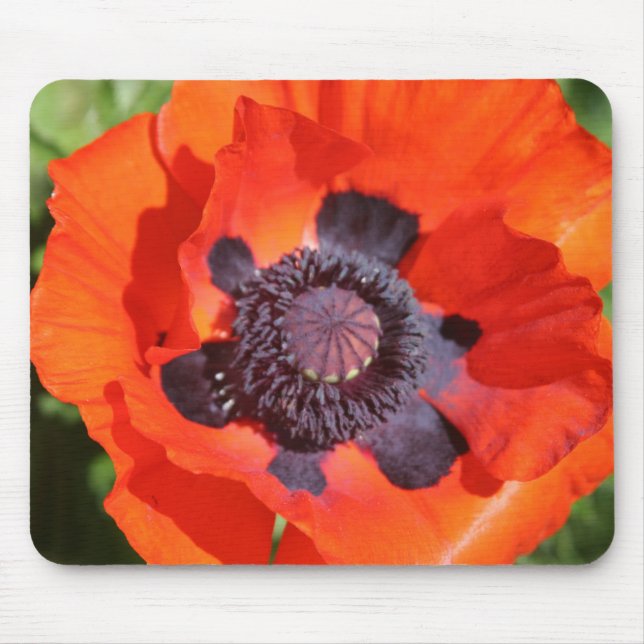 Oriental Poppy Blume Mousepad (Vorne)