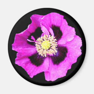 Oriental Poppy Kühlschrankmagnet schwarz Magnet