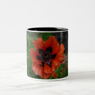 Oriental poppy zweifarbige tasse