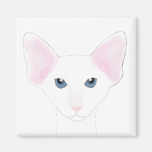 Oriental Shorthair Cat Magnet