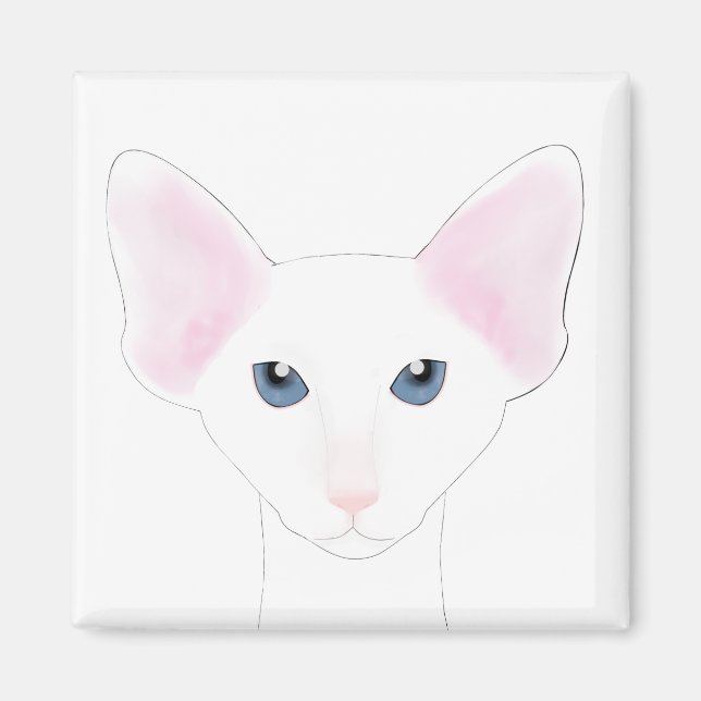 Oriental Shorthair Cat Magnet (Vorne)