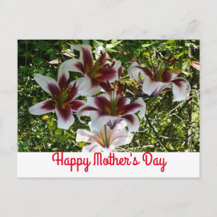 Oriental Trumpet Lily Happy Mother Day Postcard Postkarte