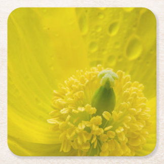 Oriental Yellow Poppy Rechteckiger Pappuntersetzer