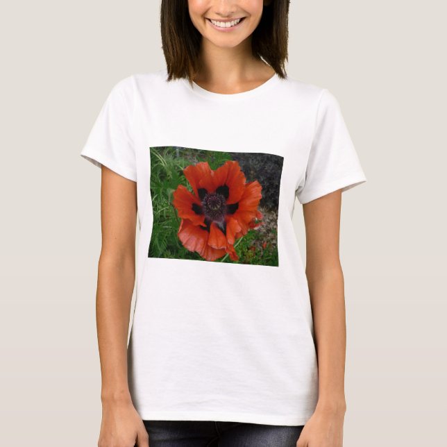 Orientaler Mohn       T-Shirt (Vorderseite)