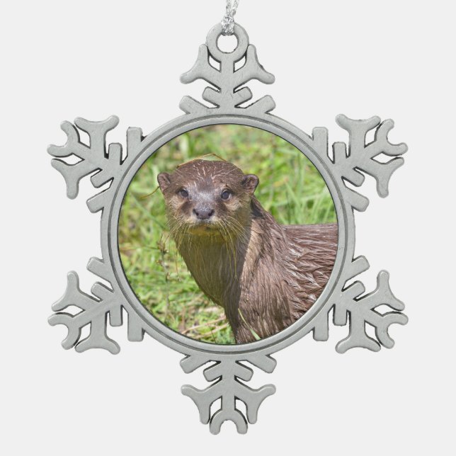 Orientalisch-kleckiger Otter im Gras Schneeflocken Zinn-Ornament (Vorderseite)