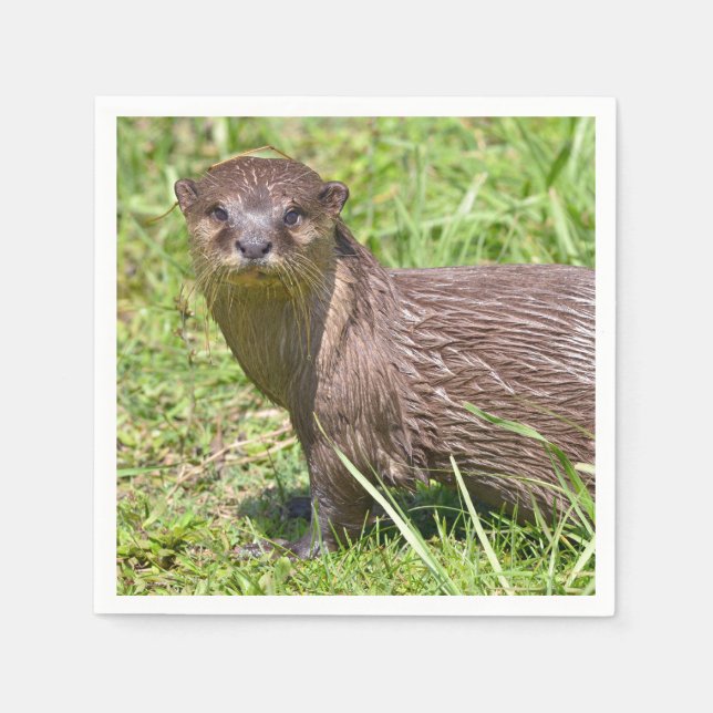 Orientalisch-kleckiger Otter im Gras Serviette (Vorderseite)