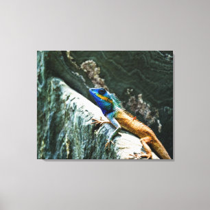 Orientalische Garten-Eidechse - eingewickelte Leinwanddruck