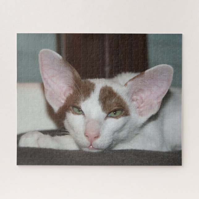 Orientalische Kurzhaarkatze Puzzle (Horizontal)