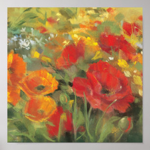 Orientalische Mohnblumen-Feld Poster