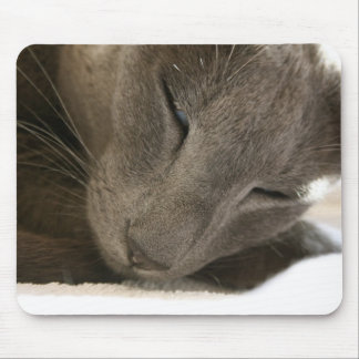 Orientalische Shorthair Katzen-Mäusematte Mousepad