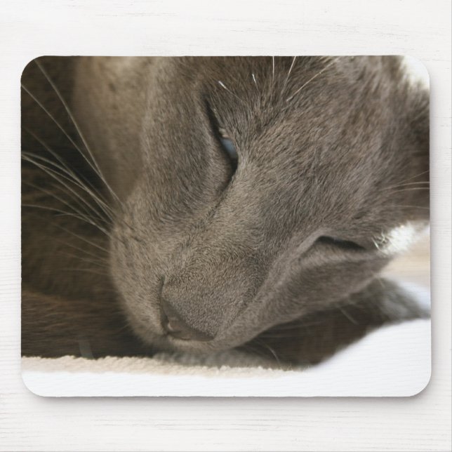 Orientalische Shorthair Katzen-Mäusematte Mousepad (Vorne)