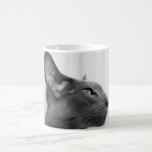 Orientalische Shorthair Katzen-Tasse Kaffeetasse