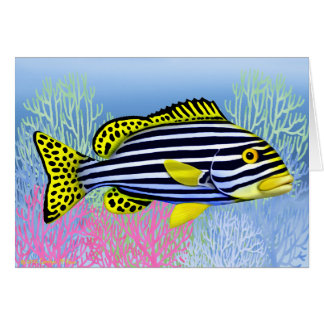 Orientalische Sweetlips Riff-Fisch-Karte
