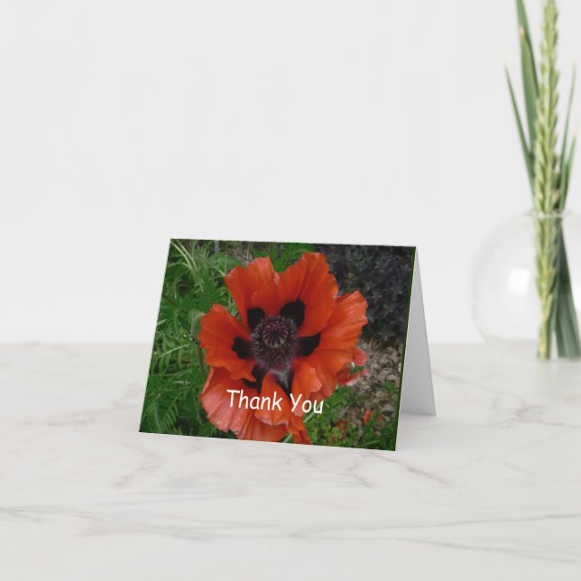 Orientalischer Mohn Dankeskarte (Vorderseite)