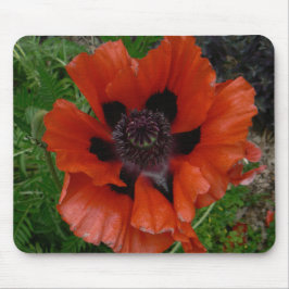 Orientalischer Mohn Mousepad