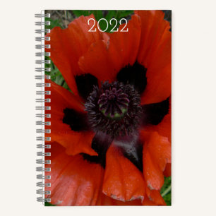 Orientalischer Mohn     Notizbuch